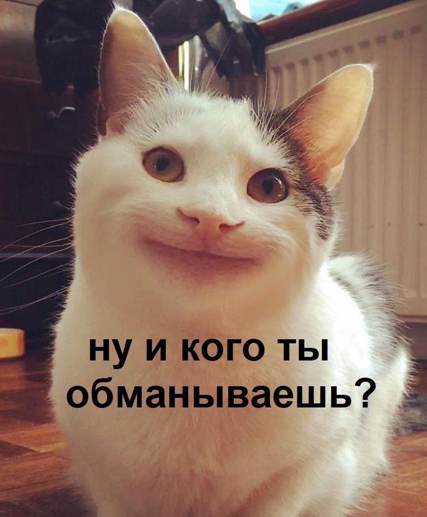 ***Victoria Viktorovna*** - 14  2025  04:51 - 2