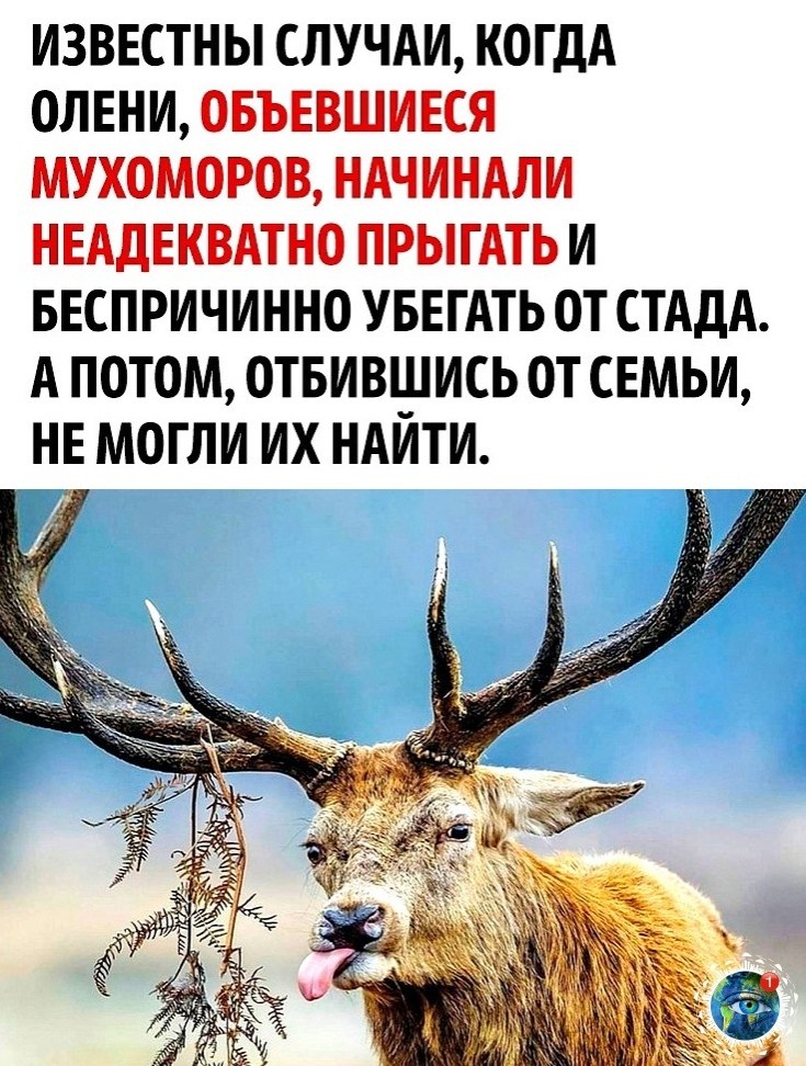 e pa ca! - 3