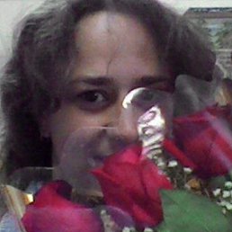 ����������!, �����������, 46 ���