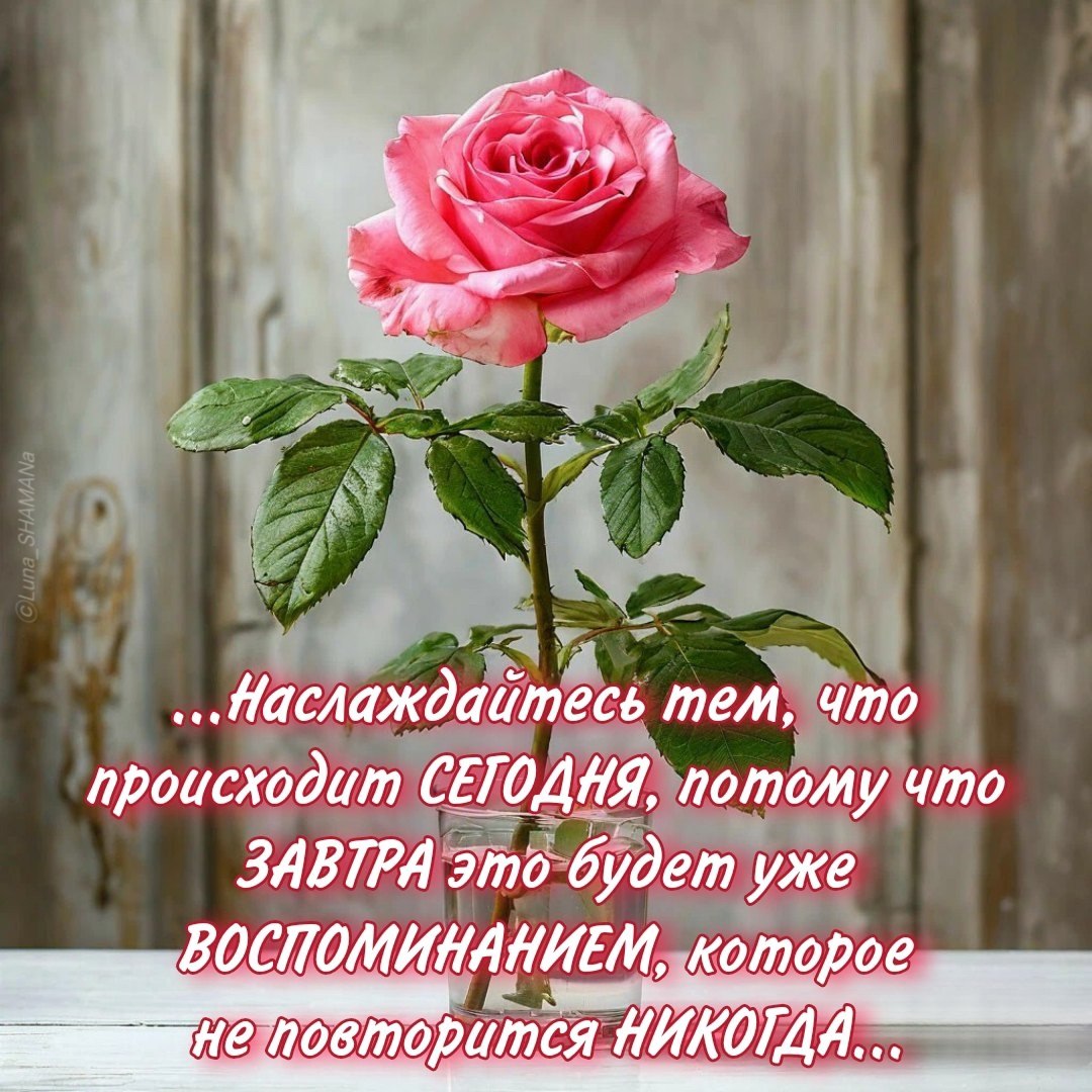  - 23  2024  08:25