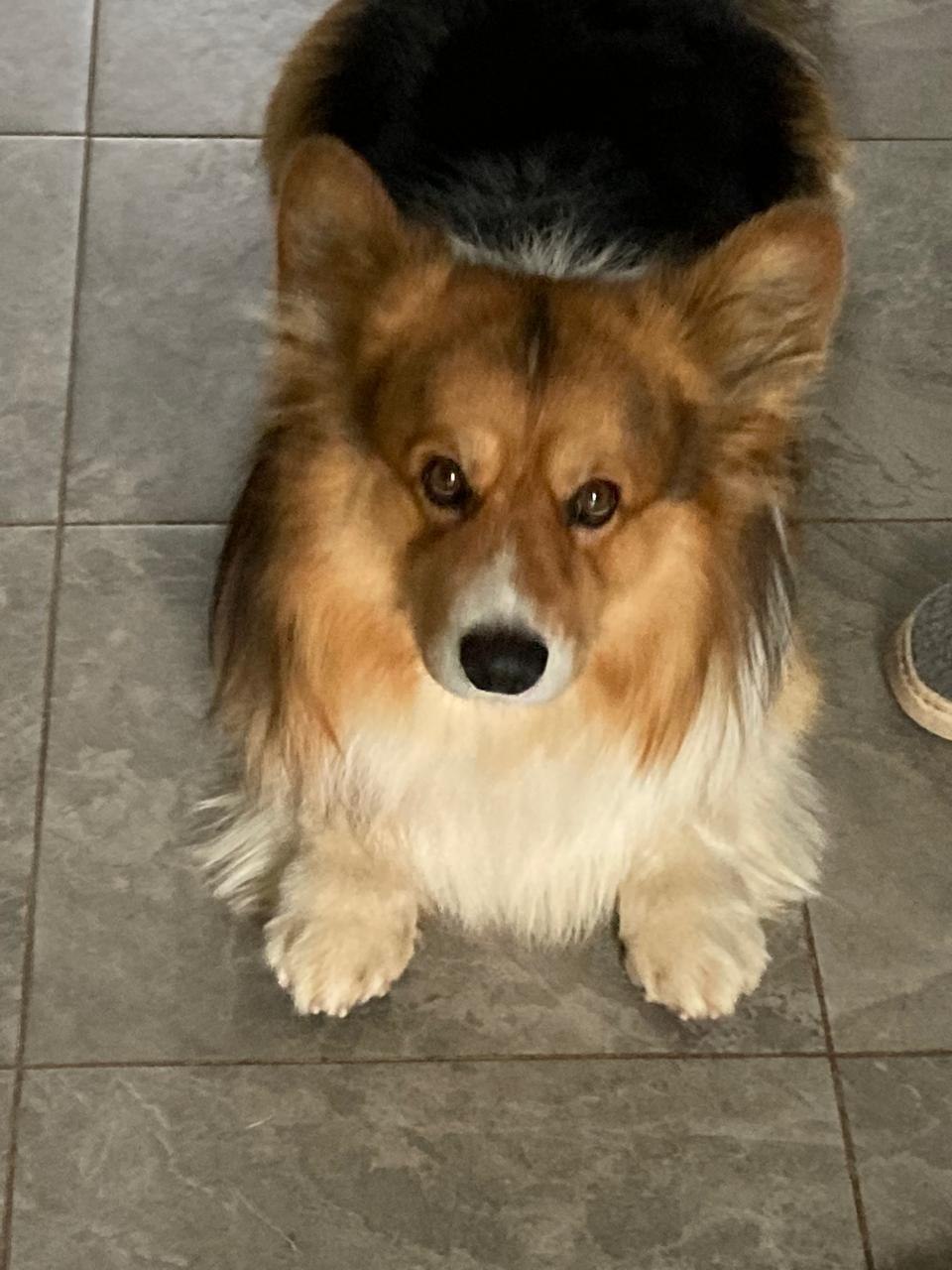 -- - 20  2025  22:41