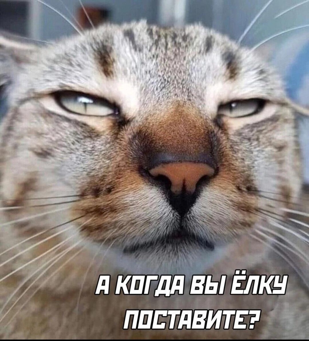  - 29  2023  23:10