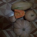  , , 61  -  19  2025
