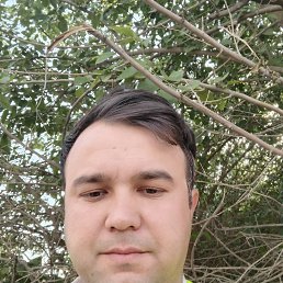 , 39, 