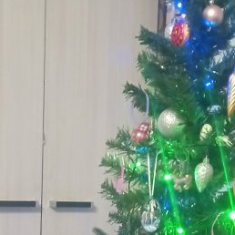 ���������, �����-���������, 45 ���