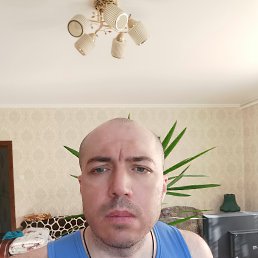 ���� ������, �����, 41 ��� - ��������� 25 ���� 2026