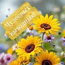 ���� ����, ����������� - ��������� 16 ������� 2026 � ������ ������ ��������