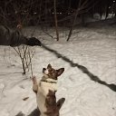 ���� ������, �������, 37 ��� - ��������� 5 ����� 2025 � ������ ���� ����������