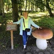 !, 56 , 