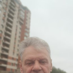 , 63, 