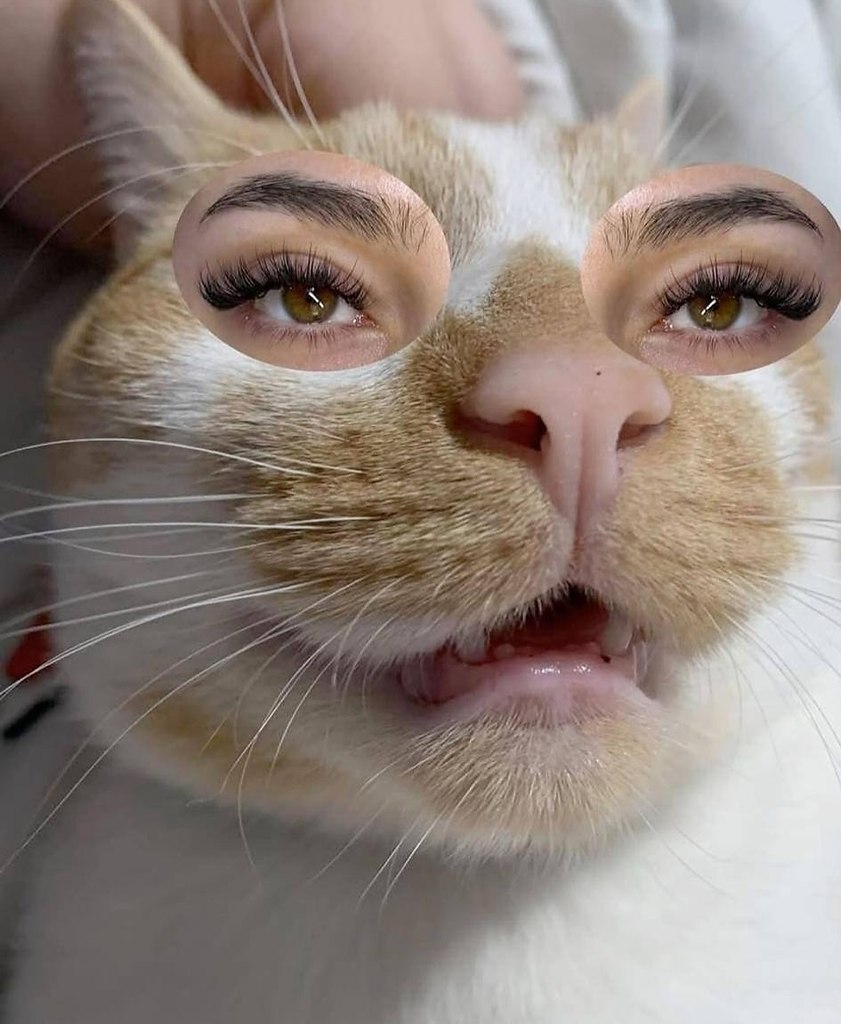 В социальных сетях разгорелся спор вокруг необычного подхода одной мастерицы по наращиванию ресниц, ... - 2