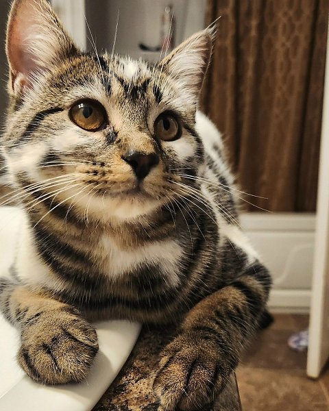 � ������ �������� ���� �������.����� �������� ���� - 5