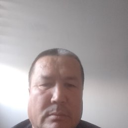 , 51, 