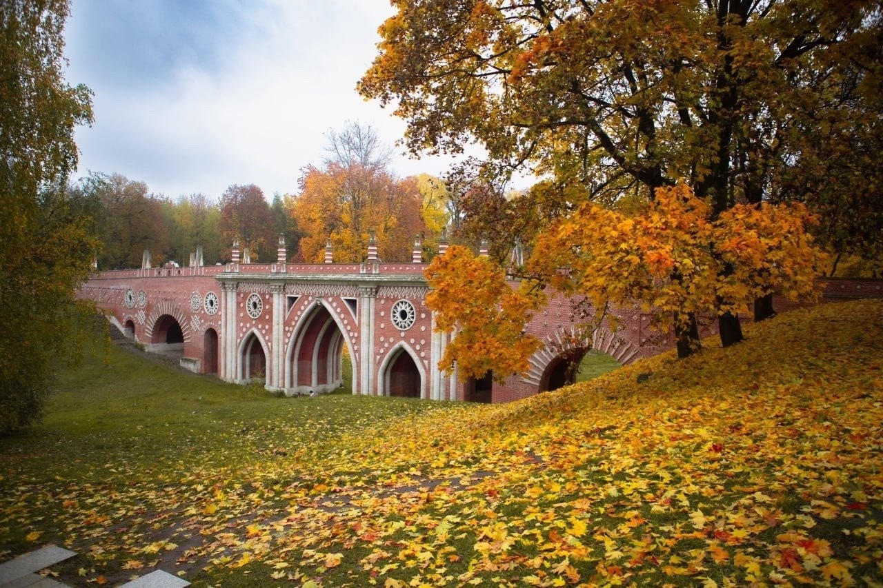 ������ ����� � ��������. ����: ������� ������