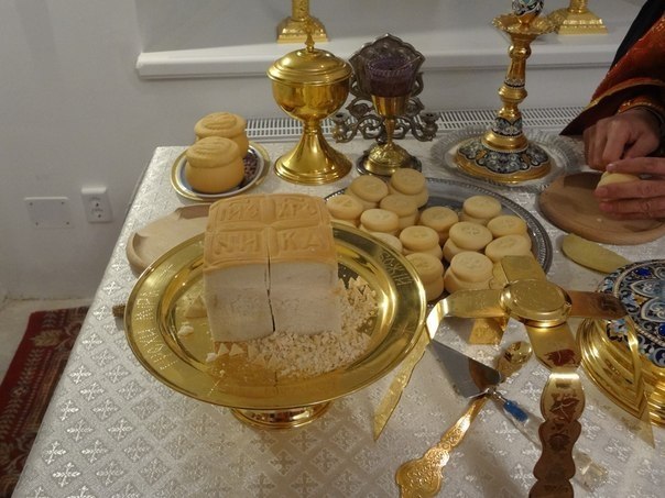 13  2025         , ... - 5