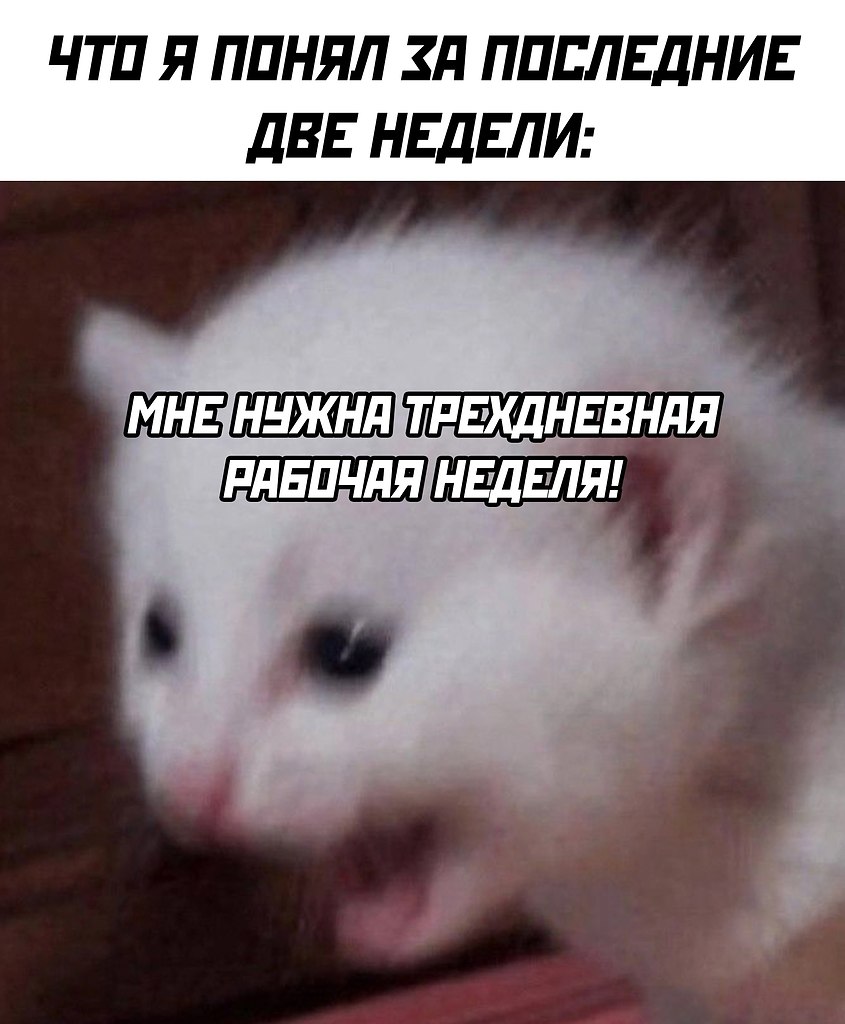   - 13  2025  18:33