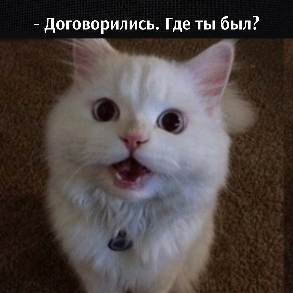       - 30  2024  11:14 - 2
