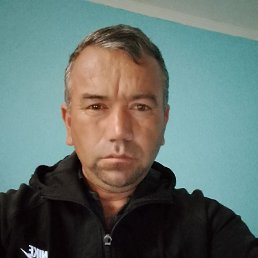  , 48, 
