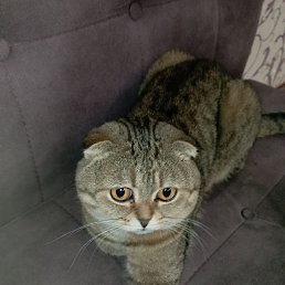 ���� ������, ������, 47 ��� - ��������� 4 ������ 2023