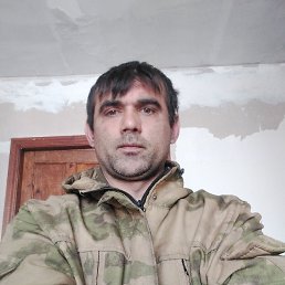 , 37, 