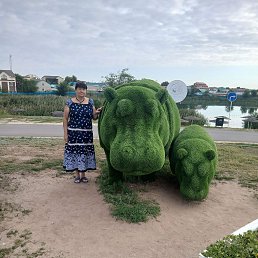 ���� ������, ������ �����, 61 ��� - ��������� 5 �������� 2025