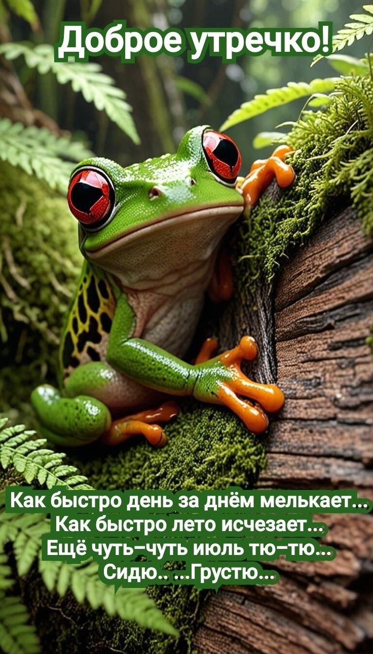  ))  !!! - 23  2025  08:22