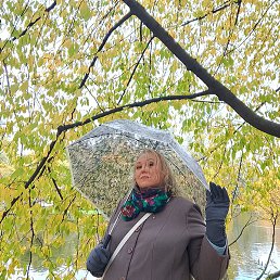 �������-�������, �����-���������, 40 ���