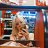 ���� ��������, �����-���������, 21 ��� - ��������� 3 ������� 2026