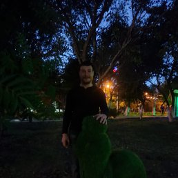 ��������, 33 ����, �������