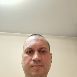 , 51 , 
