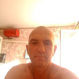 , 48 , 