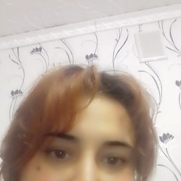 , 37, 