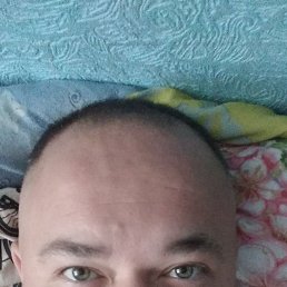 ������, 41 ���, ������������