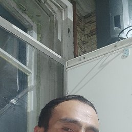 , 37,  