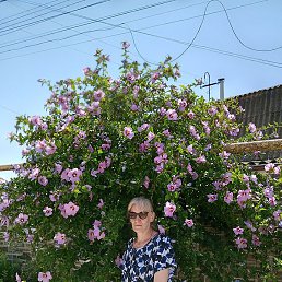 ��������, ������, 57 ���