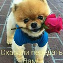 ���� �������, ������, 38 ��� - ��������� 12 ������� 2025 � ������ ���� ����������