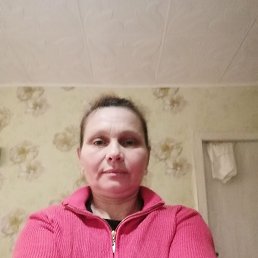 ���� ��������, ������, 44 ���� - ��������� 13 ������� 2026