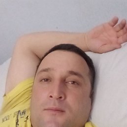 , 41, 
