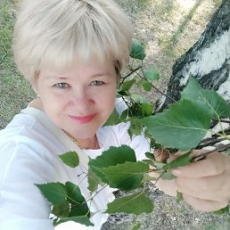 , 65, 