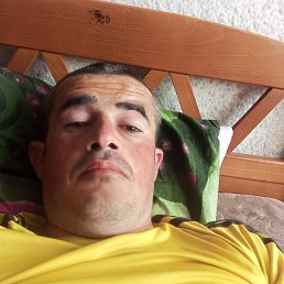 , 32, 