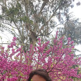 , 54, 