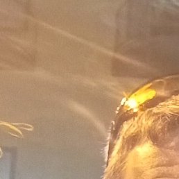 Sergeevich, �����, 39 ���