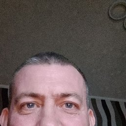 , 44, 