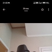 �����, 52 ����, �����-���������