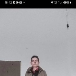 , 41, 