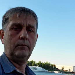 , 56, 