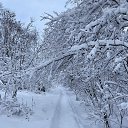 ���� �������, ����� - ��������� 7 ������� 2025 � ������ ���� ����������