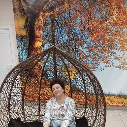 , 67, 