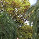 ���� ������, ������, 63 ���� - ��������� 29 ������ 2024 � ������ ���� ����������