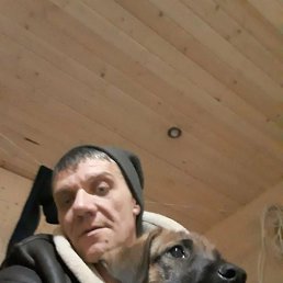 �����, ������, 45 ���